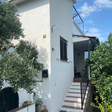 Willa Family House Ljubica Trogir Zewnętrze zdjęcie